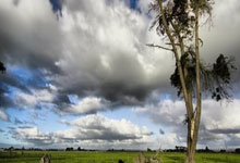 出色防守引发热议！，浓眉哥在热火比赛中晋级下一阶段比赛高潮迭起的简单介绍